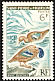 Blue-winged Teal Spatula discors  1963 Birds 
