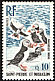 Atlantic Puffin Fratercula arctica