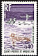 Long-tailed Duck Clangula hyemalis  1973 Definitives 