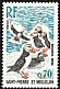 Atlantic Puffin Fratercula arctica  1973 Definitives 