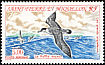 Great Shearwater Ardenna gravis  1993 Migratory birds 