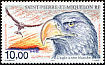 Bald Eagle Haliaeetus leucocephalus  1998 The Eagle 