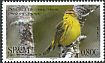 Palm Warbler Setophaga palmarum