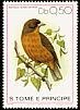 Principe Seedeater Crithagra rufobrunnea  1979 Birds 