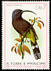 Giant Sunbird Dreptes thomensis  1979 Birds 
