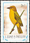 Principe Weaver Ploceus princeps  1983 Birds 
