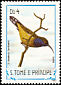 Principe Sunbird Anabathmis hartlaubii  1983 Birds 