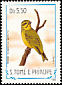 Yellow-fronted Canary Crithagra mozambica  1983 Birds 