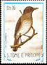 Sao Tome Thrush Turdus olivaceofuscus  1983 Birds 