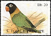 Yellow-collared Lovebird Agapornis personatus  1987 Parrots 