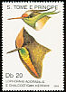 Rainbow-bearded Thornbill Chalcostigma herrani  1989 Hummingbirds 