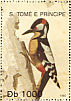 Great Spotted Woodpecker Dendrocopos major  1992 Birds  MS MS