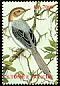 Sao Tome Prinia Prinia molleri  2002 Birds 