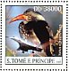 Northern Red-billed Hornbill Tockus erythrorhynchus  2003 Birds  MS