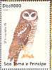 African Wood Owl Strix woodfordii  2004 Owls Sheet