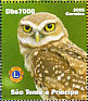 Little Owl Athene noctua  2006 Animals 9v sheet