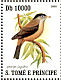 Black-capped Speirops Zosterops lugubris  2007 Birds Sheet