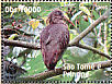 Sao Tome Ibis Bostrychia bocagei  2008 WWF Sheet