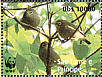 Sao Tome White-eye Zosterops feae  2008 WWF Sheet