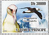 Laysan Albatross Phoebastria immutabilis  2008 Albatrosses Sheet