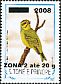 Yellow-fronted Canary Crithagra mozambica