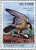Eurasian Hobby Falco subbuteo  2011 Raptors Sheet