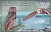 African Scops Owl Otus senegalensis  2013 Owls  MS