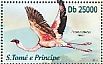 Lesser Flamingo Phoeniconaias minor  2013 Birds Sheet