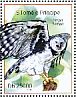 Harpy Eagle Harpia harpyja  2014 Eagles Sheet