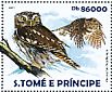 Ferruginous Pygmy Owl Glaucidium brasilianum  2015 Rainforest owls  MS