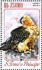 Bearded Vulture Gypaetus barbatus