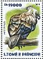 Harpy Eagle Harpia harpyja  2015 Harpy Eagle Sheet