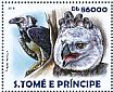 Harpy Eagle Harpia harpyja  2015 Harpy Eagle  MS