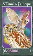 Little Owl Athene noctua  2016 Owls  MS