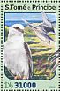 Black-shouldered Kite Elanus axillaris