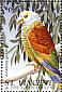 St. Vincent Amazon Amazona guildingii  1996 Birds of St Vincent  MS MS