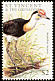 Comb-crested Jacana Irediparra gallinacea  1997 Birds of the sea 