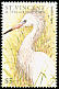 Reddish Egret Egretta rufescens  1997 Birds of the sea 