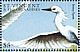 Snowy Egret Egretta thula  1997 Birds of the sea  MS MS