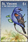 Blue Grosbeak Passerina caerulea  1997 Birds of the world Sheet