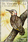 Northern Flicker Colaptes auratus  1997 Birds of the world Sheet