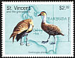 West Indian Whistling Duck Dendrocygna arborea  1998 Endangered species of the Caribbean 