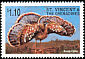 Sunbittern Eurypyga helias  1998 Birds of the world 