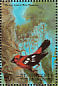 White-winged Tanager Piranga leucoptera  1998 Birds of the world Sheet
