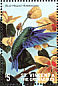 Blue-headed Hummingbird Riccordia bicolor  1998 Birds of the world  MS MS