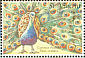 Indian Peafowl Pavo cristatus  2000 The wonderful world of birds  MS MS