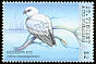 Mississippi Kite Ictinia mississippiensis  2001 Birds of prey 
