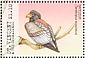 Bateleur Terathopius ecaudatus  2001 Birds of prey Sheet