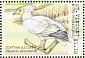 Egyptian Vulture Neophron percnopterus  2001 Birds of prey Sheet