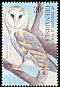 Western Barn Owl Tyto alba  2001 Owls of the world 
